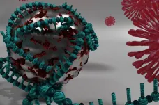 Magnetické nanokuličky z Olomouce budou pomáhat při testování na koronavirus