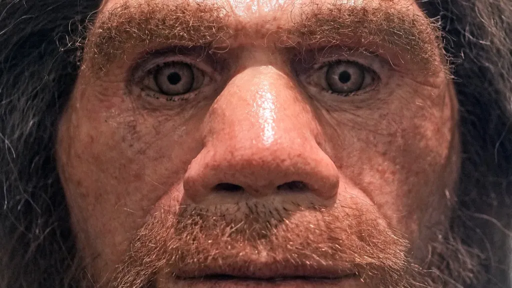 Ilustrační foto
