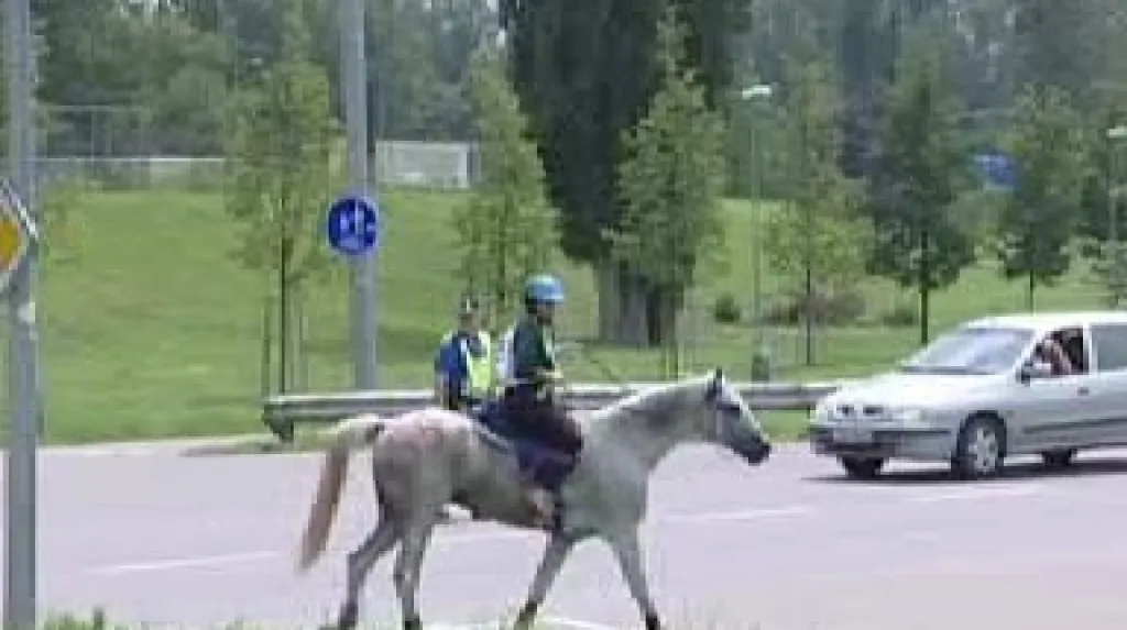 Jezdec v pardubických ulicích