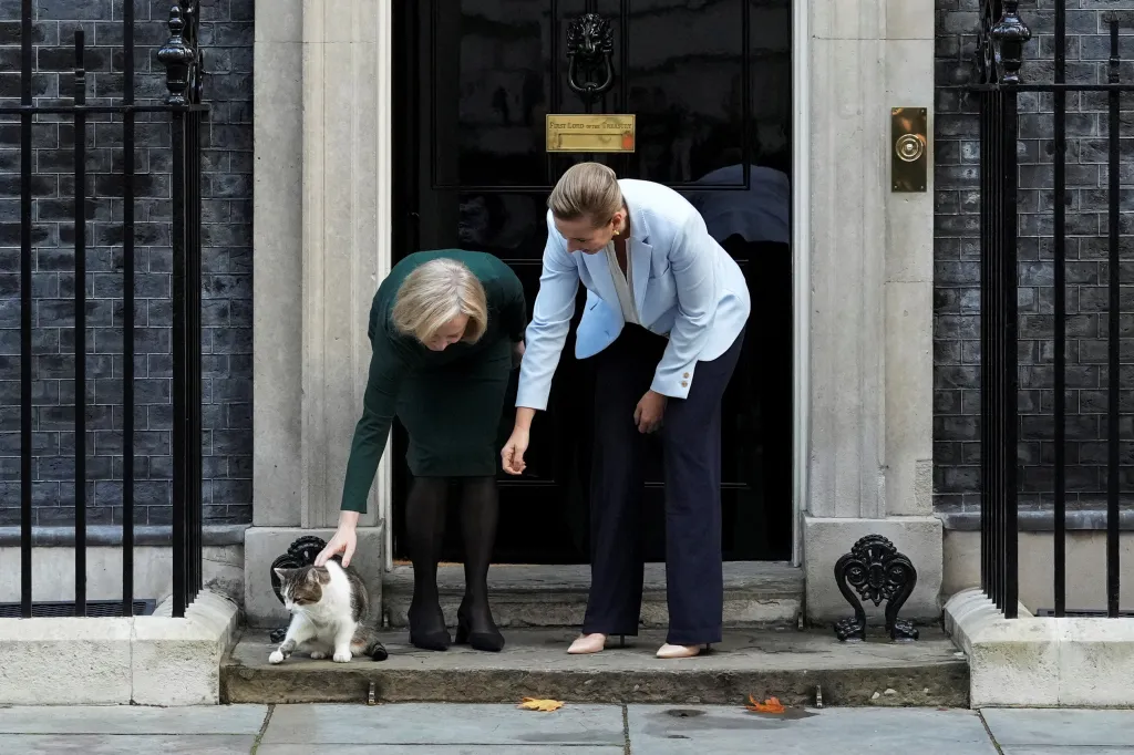 Trussová a její dánská kolegyně Mette Frederiksenová si v Downing Street prohlížejí kocoura Larryho (1. říjen 2022)