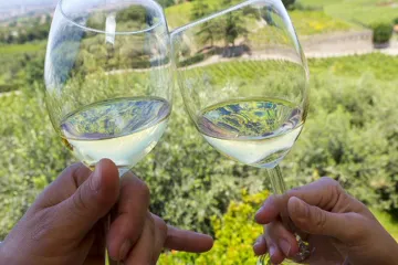I velmi umírněné pití alkoholu je škodlivé pro mozek, tvrdí britští vědci