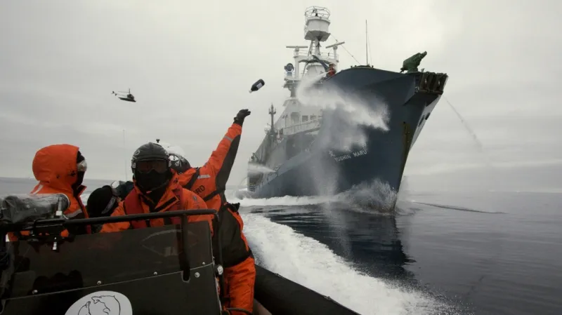 Aktivisté hází na palubu Japonců lahve se žluklým máslem