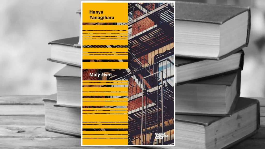 Hanya Yanagihara / Malý život
