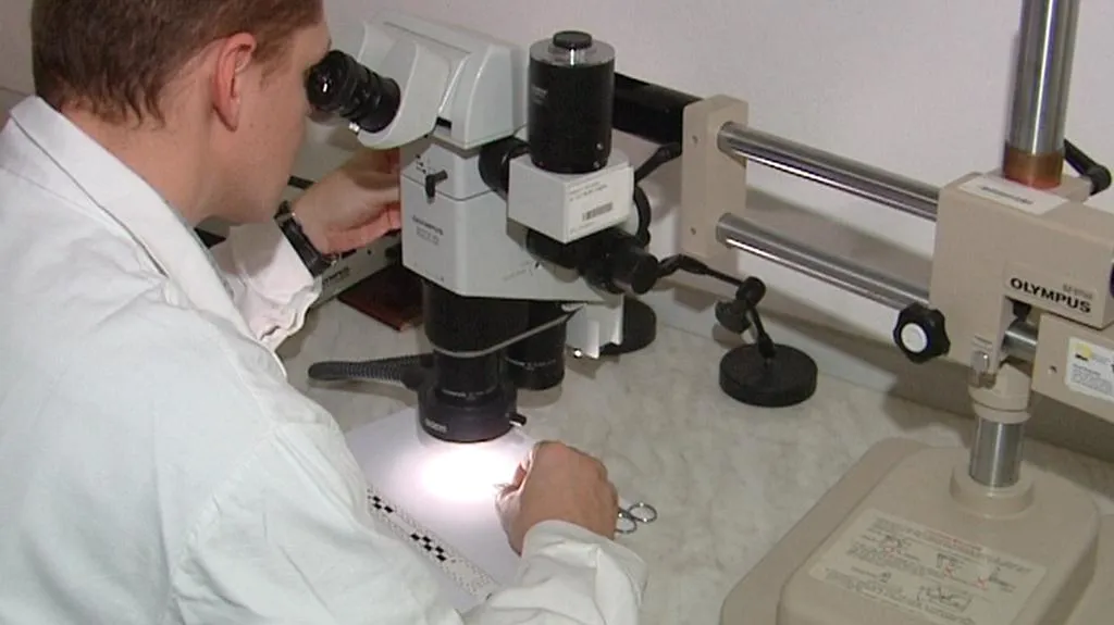 Práce na identifikaci DNA pachatele