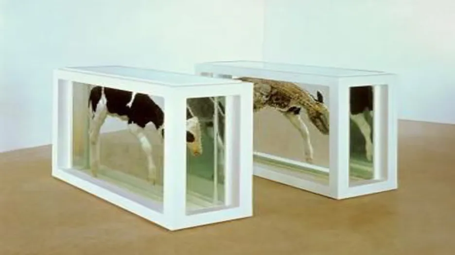 Dílo Damiena Hirsta