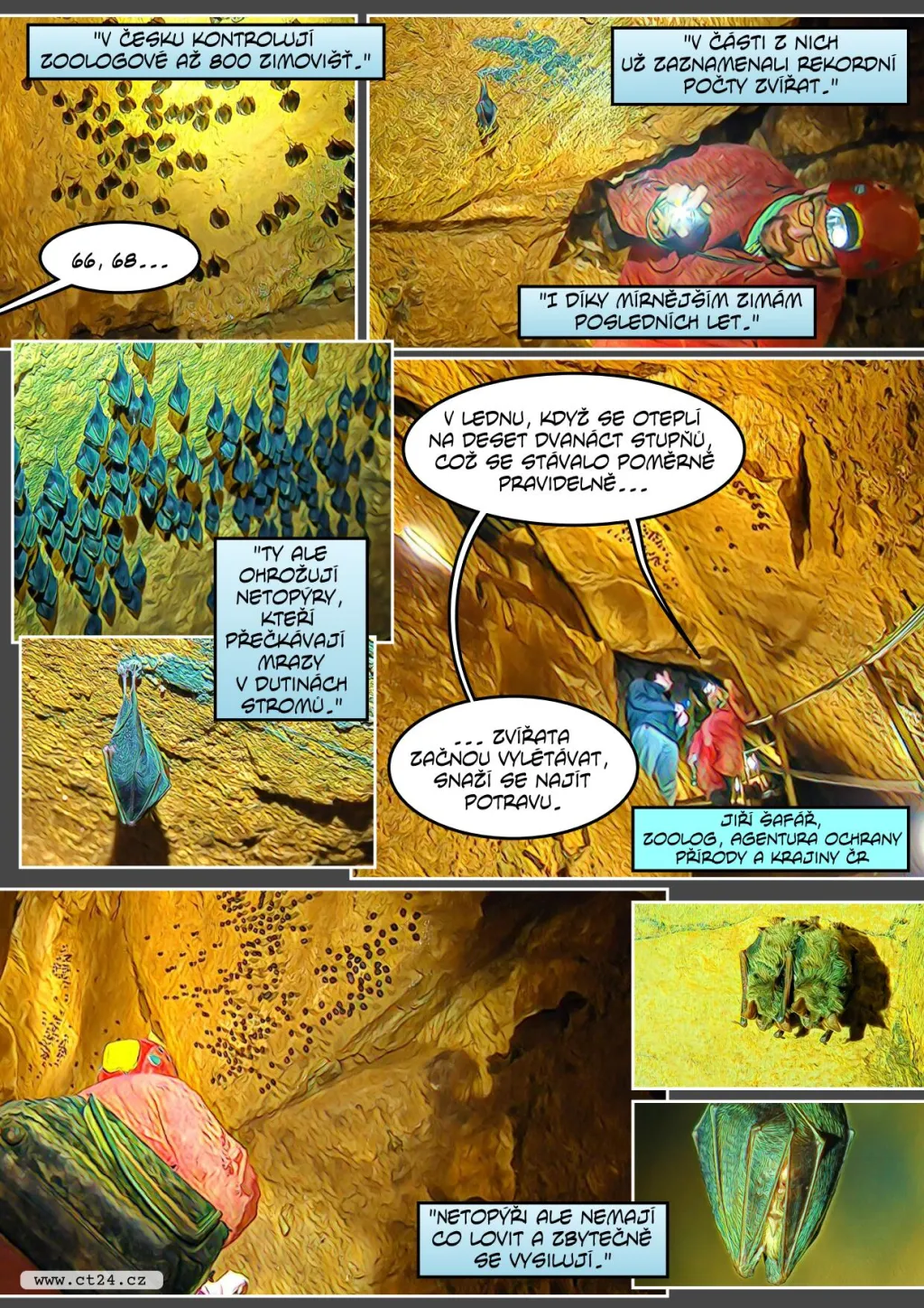 Zoologové zaznamenali rekordní počet netopýrů