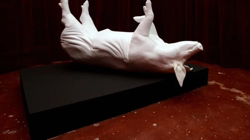 Z výstavy Český papež