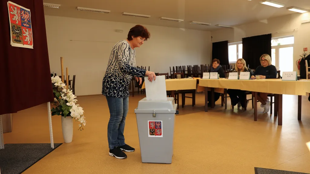 Volby do Poslanecké sněmovny 2025