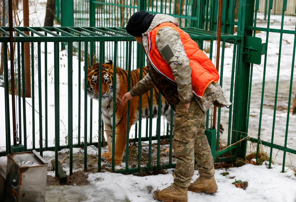 Válka na Ukrajině zasáhla i divoká zvířata