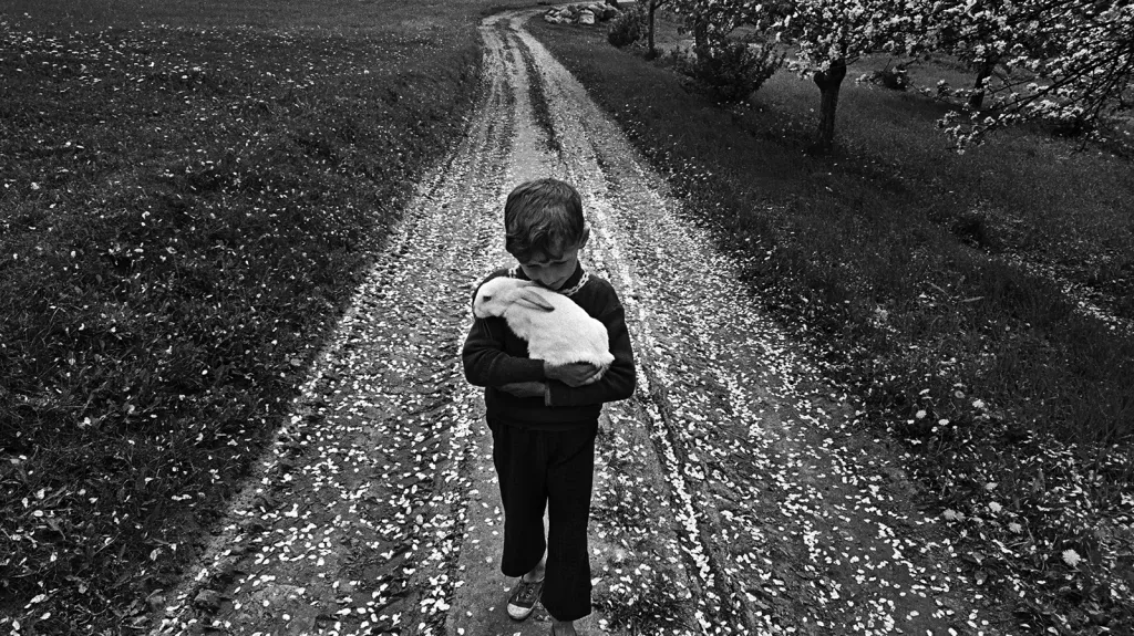 Měsíc fotografie v Bratislavě