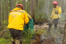 Požáry na Sibiři se podařilo dostat pod kontrolu. Oheň zasáhl miliony hektarů lesa