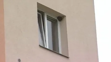 Hnízdo jiřiček