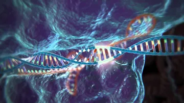 CRISPR–Cas9