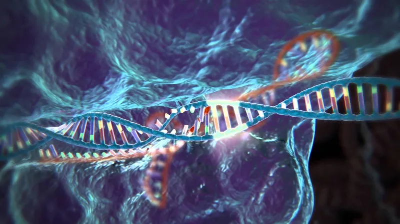 CRISPR–Cas9