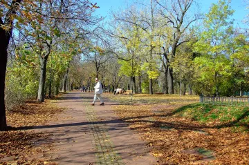 Padaly teplotní rekordy, nejvíc naměřily stanice na jihu Čech