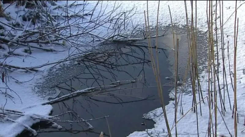 Reportáž Jana Stuchlíka