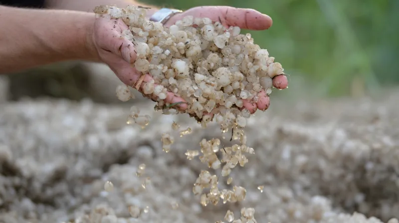 Kroupy napadly i na Plzeňsku