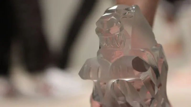 Reportáž Lucie Klímové