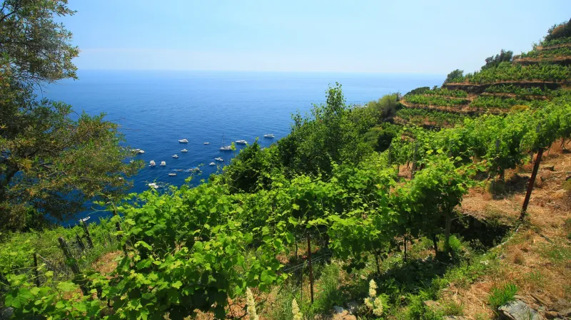 Stezka z Monterosso al Mare do Vernazzy