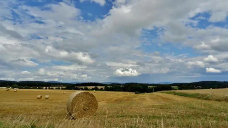Reportáž Edity Valentové