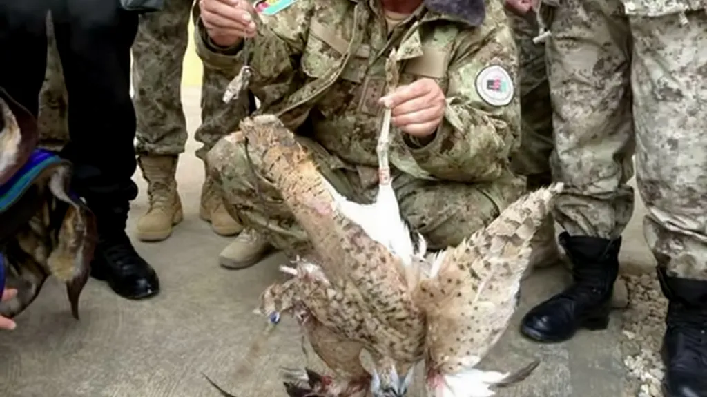 Afghánská policie s uloveným dropem