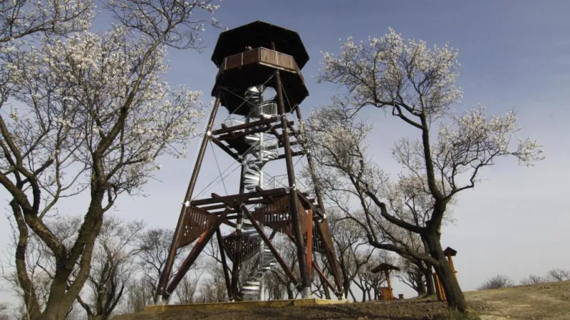 Rozhledna u Hustopečí na Břeclavsku