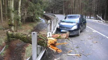 Spadlý strom poškodil projíždějící auto