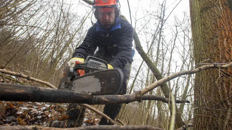 Třešně zarůstaly ve vojenském území