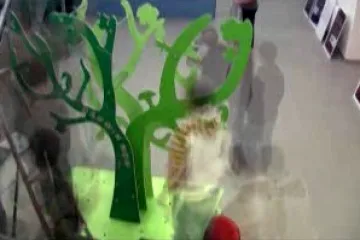 Výstava Darwin Now na příbramském gymnáziu