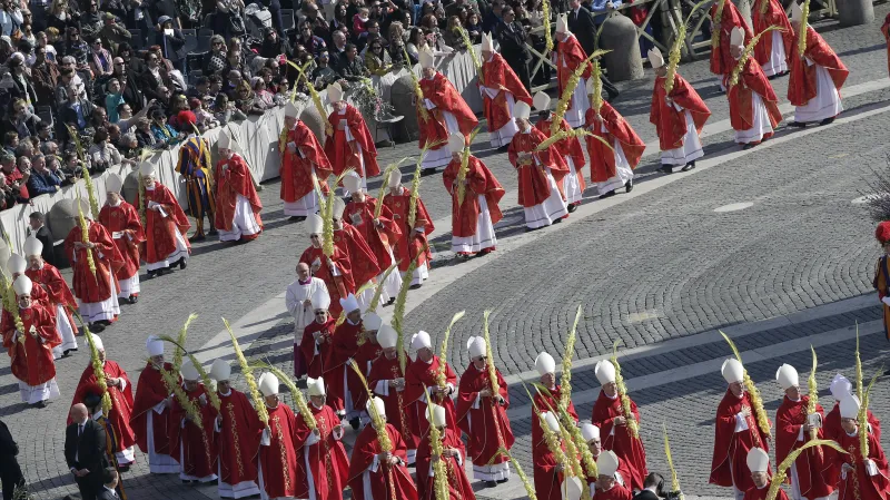 Kardinálové v průvodu s palmovými ratolestmi
