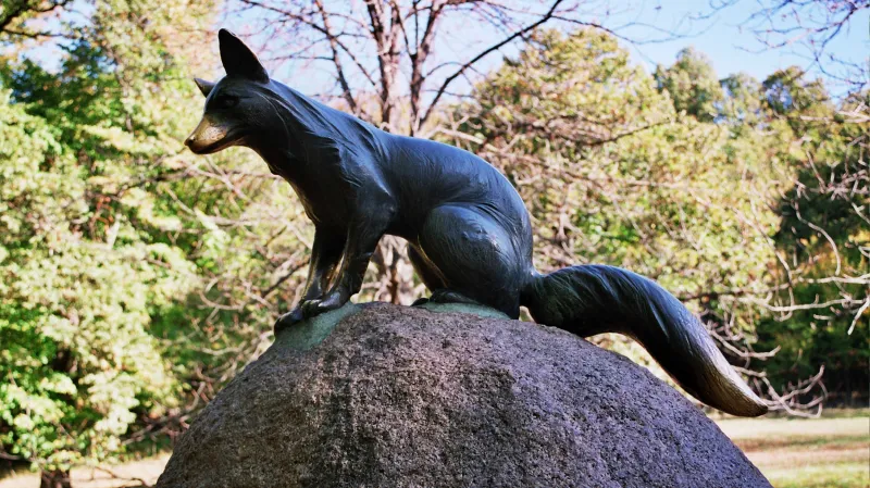 Pomník lišky Bystroušky v Hukvaldech