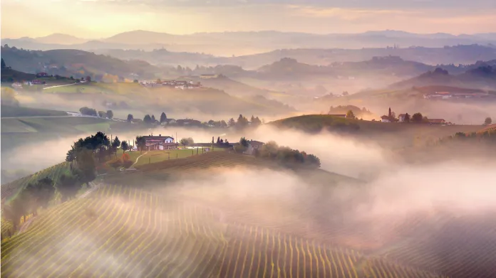 Mlhy v oblasti italského Piemontu daly název tamní odrůdě „nebbiolo“