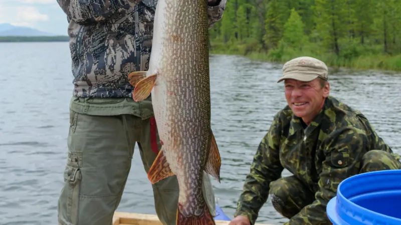 A je to tady... Putin vytáhl 21kilovou štiku.