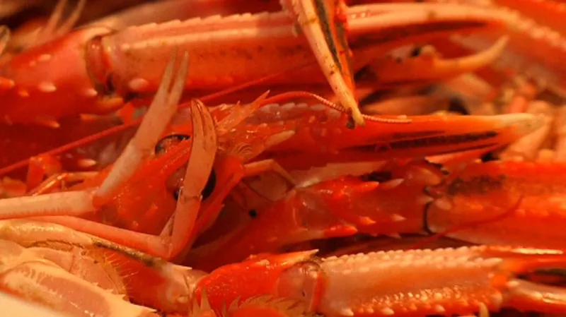 Španělský rybolov v krizi