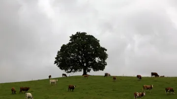 Ilustrační foto
