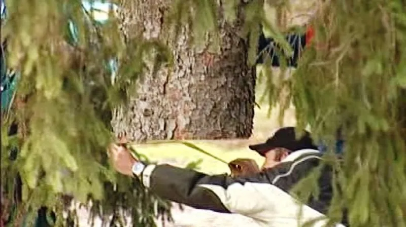 Přeměřování vánočního stromu