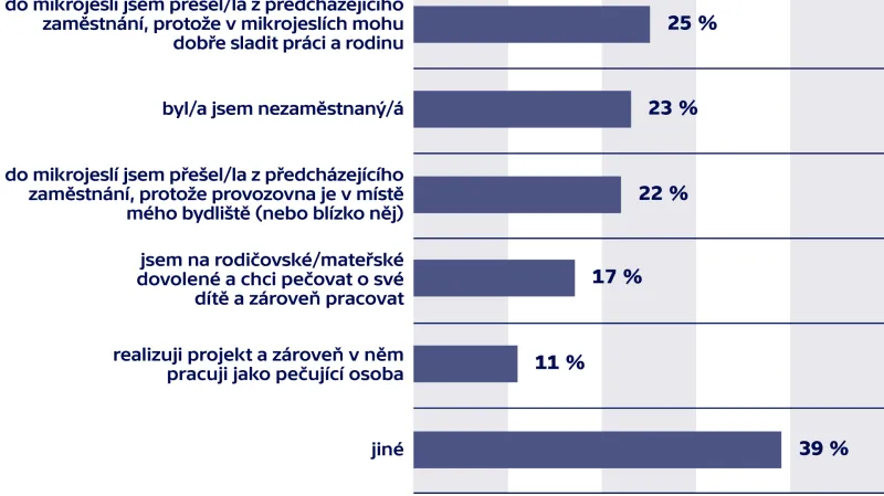 Důvody pro práci v mikrojeslích jako pečující osoba