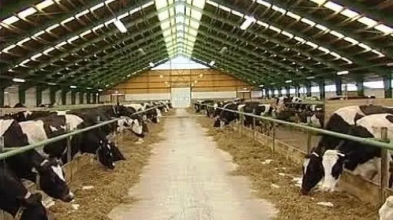 Reportáž Jiřího Böhma