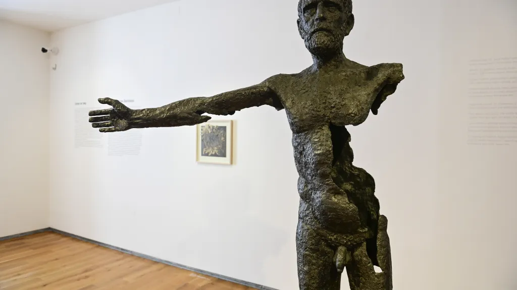 Z výstavy děl Evy Kmentové a Olbrama Zoubka Lidská důstojnost