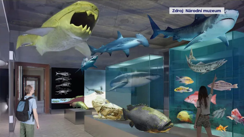 Vizualizace nové přírodovědné expozice Národního muzea