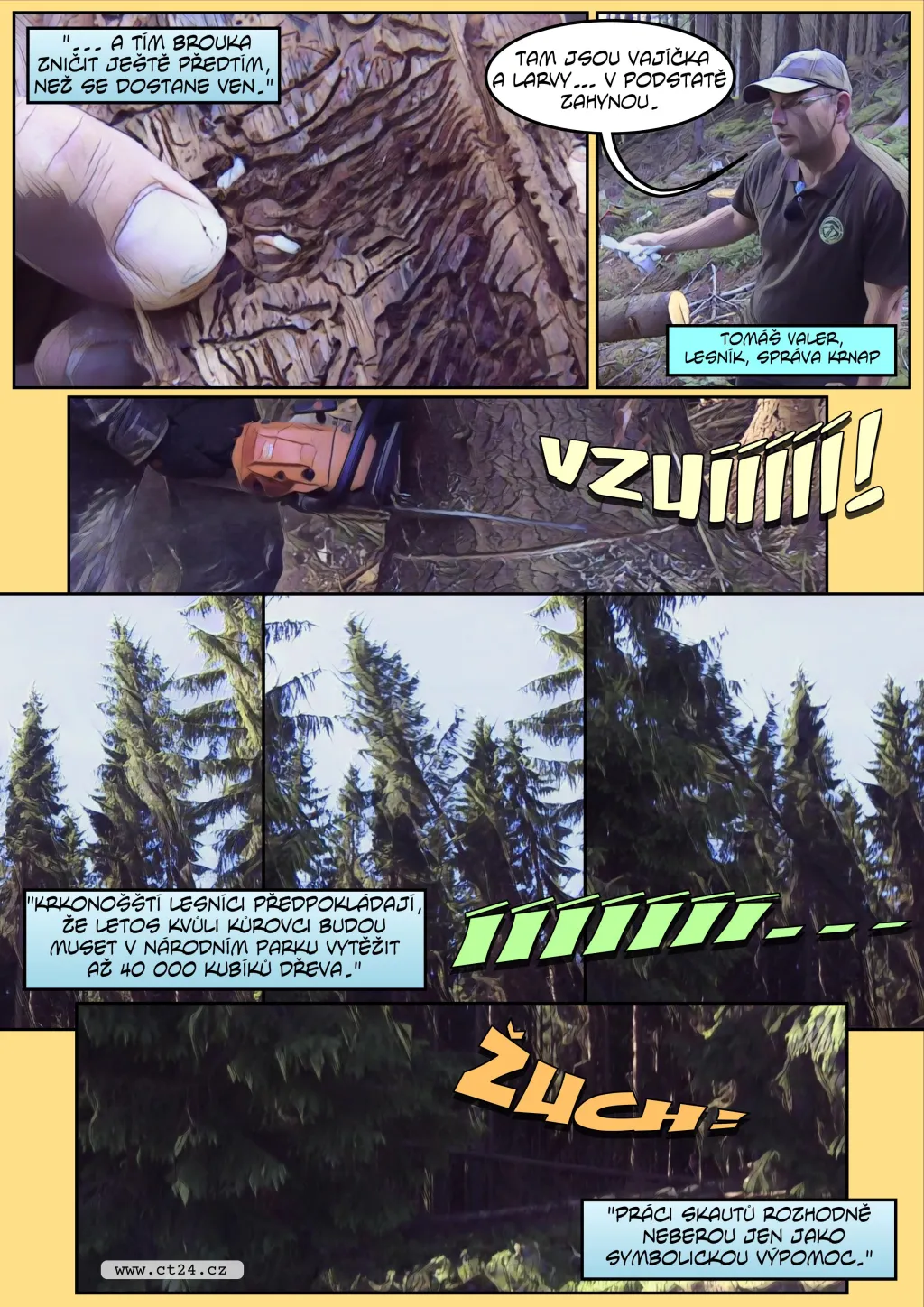 Komiks: Skauti pomáhají v boji s kůrovcem