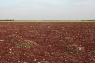 Sýrie čelí nejhoršímu suchu za posledních téměř čtyřicet let