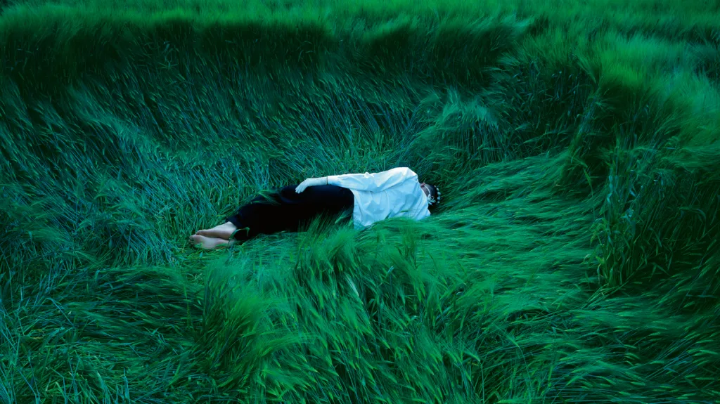 Václav Jirásek / Ze souboru Infection (2000-2003)