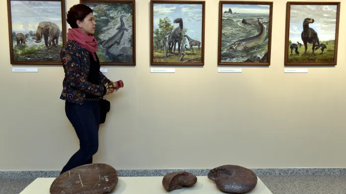 V brněnském muzeu jsou vystaveny desítky dinosaurů