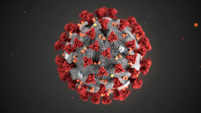 Vizualizace wuchanského koronaviru