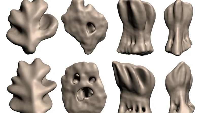 Čtyři rozdílné typy zubů ve žraločím oku z různých úhlů