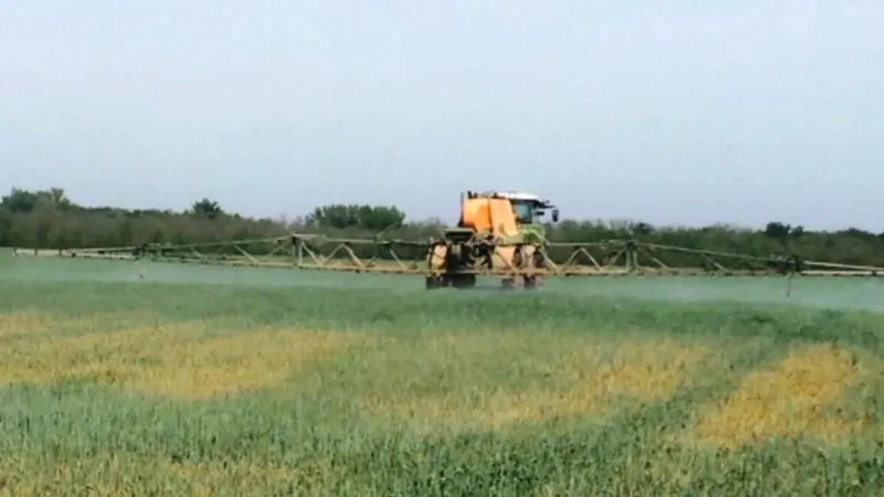 Záběr z likvidace úrody