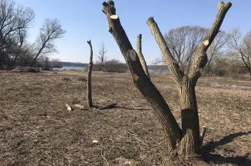 Divoké husy, racci, čejky. U řeky Kyjovky vznikne nový ptačí park