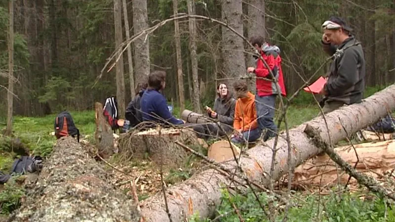 Ekologičtí aktivisté obsadili les