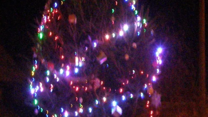 Rozsvícený stromeček v Kololeči